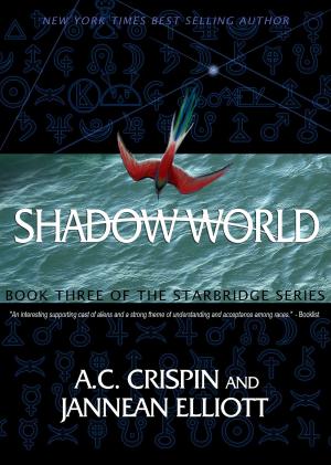 Book cover of Shadow World (StarBridge #3)