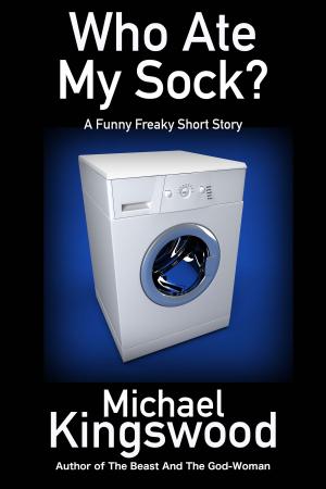 Cover of the book Who Ate My Sock? by Michael Kingswood