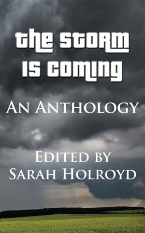 bigCover of the book The Storm is Coming by 