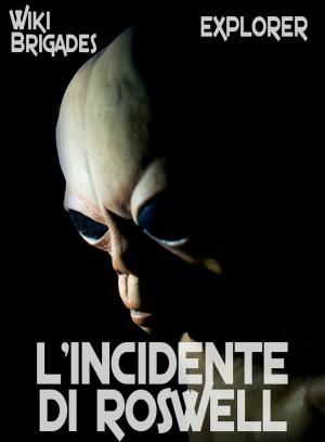 Cover of the book L'Incidente di Roswell by Jeremy Feldman