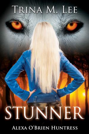 bigCover of the book Stunner by 