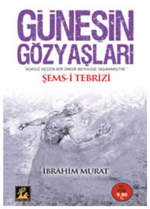 Cover of the book Güneşin Gözyaşları by Harold Lamb