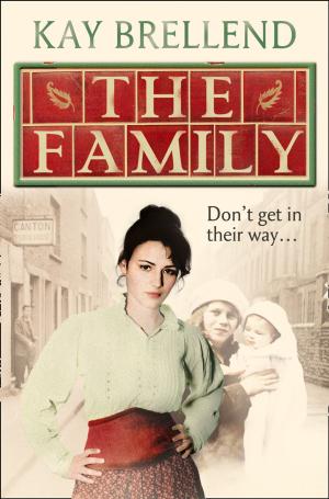Cover of the book The Family by A J Grayson