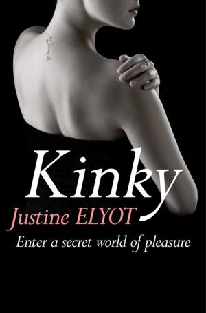 Book cover of Kinky
