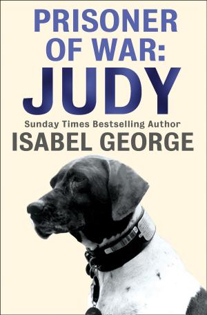 bigCover of the book Prisoner of War: Judy by 