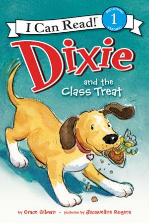 Book cover of Dixie and the Class Treat