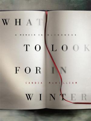 Cover of the book What to Look for in Winter by Holly Robinson Peete, Daniel Paisner