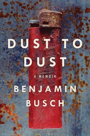 Cover of the book Dust to Dust by Debbie Terranova
