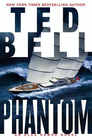 Cover of the book Phantom by Fred McKibben