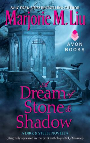 Cover of the book A Dream of Stone & Shadow by Karina Cooper