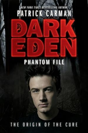 Cover of the book Phantom File by Molly B. Burnham
