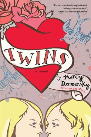 Cover of the book Twins by Tim Dorsey
