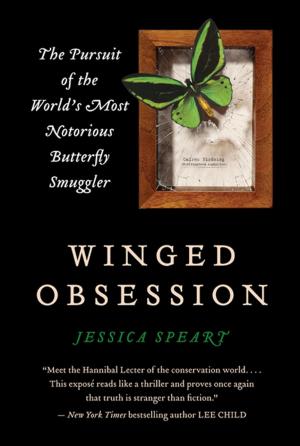 Cover of the book Winged Obsession by Courtney Miller Santo