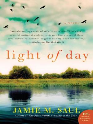Cover of the book Light of Day by Sophie Jordan