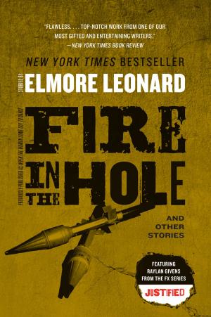 Cover of the book Fire in the Hole by Rebecca Bloom
