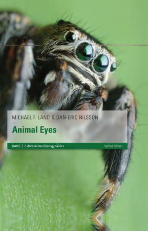Cover of the book Animal Eyes by Jonathan Wright
