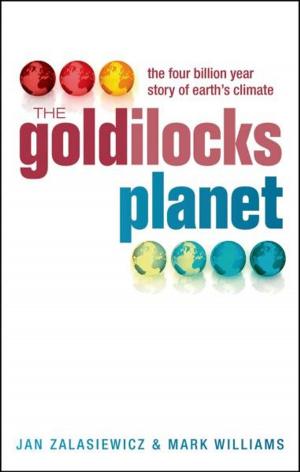 Cover of the book The Goldilocks Planet by Galileo, William R. Shea