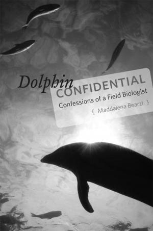 Cover of the book Dolphin Confidential by Marjorie Perloff