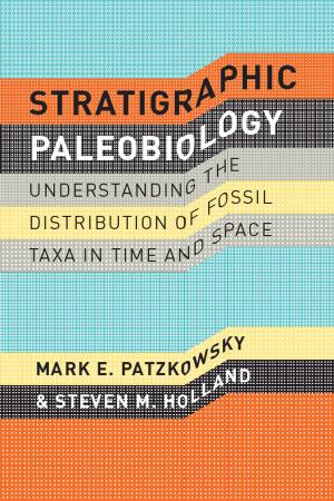 Cover of the book Stratigraphic Paleobiology by Jonathan Sheehan, Dror Wahrman