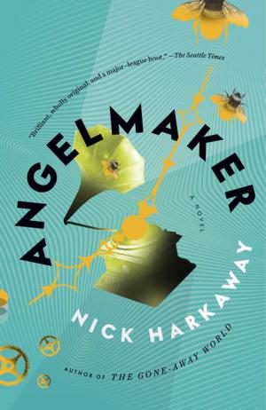 Cover of the book Angelmaker by James Hamblin