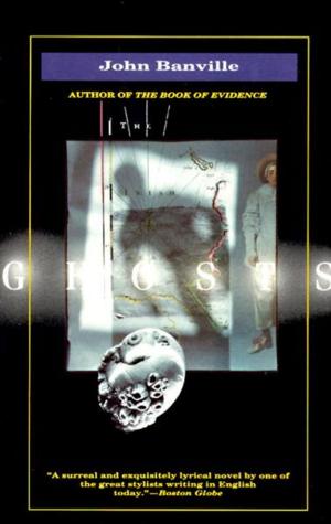 Cover of the book Ghosts by Gita Mehta