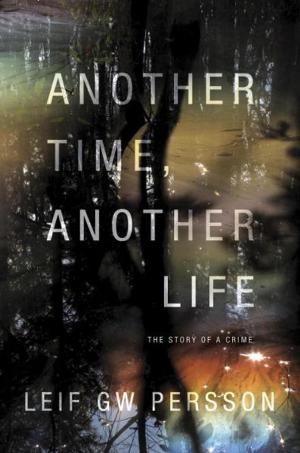 Cover of the book Another Time, Another Life by Stephen Amidon
