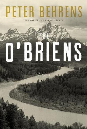 Cover of the book The O'Briens by Bruce Duffy