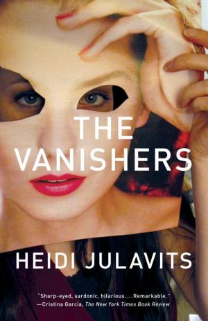Cover of the book The Vanishers: A Novel by Stephen Levine