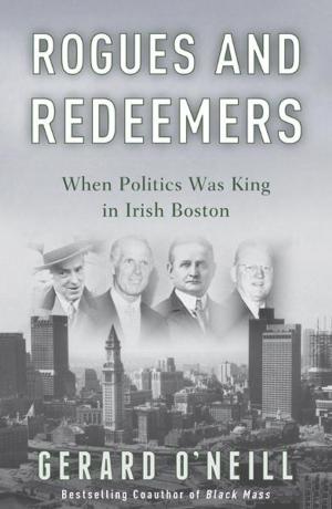 Cover of the book Rogues and Redeemers by J. E. Dyer