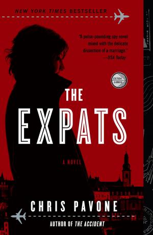 bigCover of the book The Expats by 
