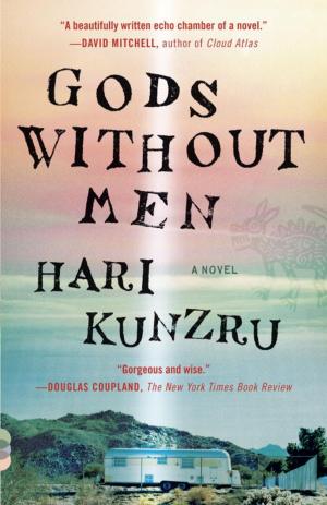 Cover of the book Gods Without Men by David Mura