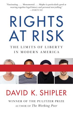 Cover of the book Rights at Risk by Louisa Luna
