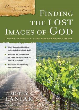 Book cover of Finding the Lost Images of God
