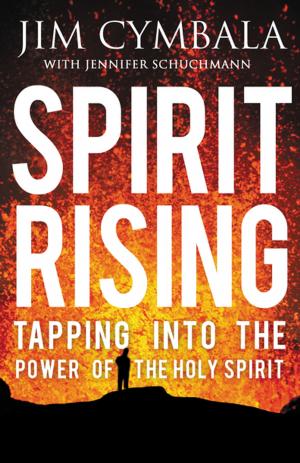 Cover of the book Spirit Rising by Walter Wangerin Jr.
