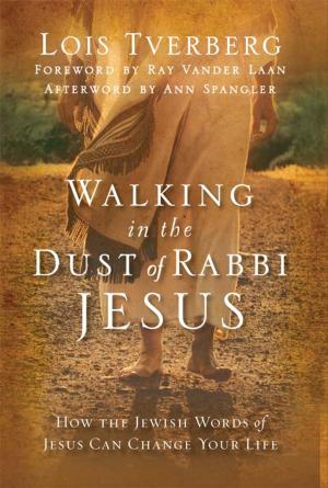 Cover of the book Walking in the Dust of Rabbi Jesus by Gregg Allison, Christopher A. Castaldo