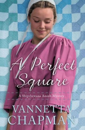 Cover of the book A Perfect Square by Denis Lamoureux