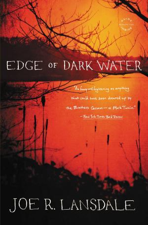 Cover of the book Edge of Dark Water by David Foster Wallace