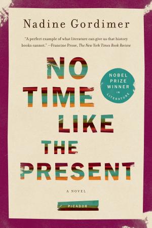 Cover of the book No Time Like the Present by Greg Jackson