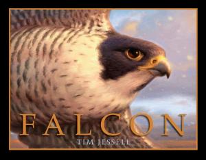 Cover of the book Falcon by Andrea Posner-Sanchez
