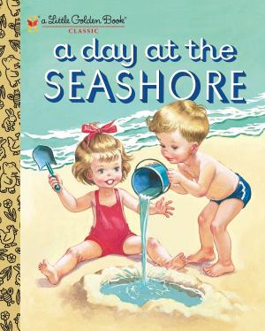 Cover of the book A Day at the Seashore by Lauren McLaughlin