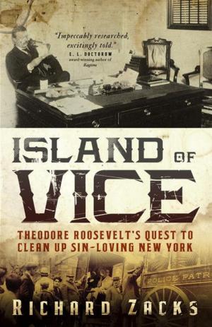Cover of the book Island of Vice by Martin Amis