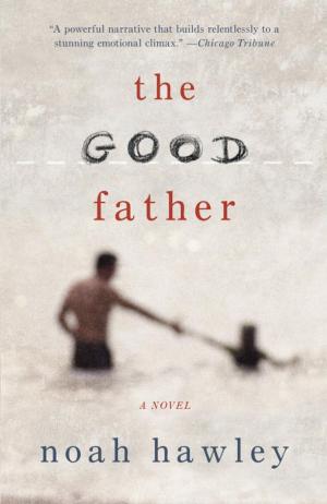 Cover of the book The Good Father by Sandra Cisneros