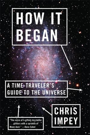 Cover of the book How It Began: A Time-Traveler's Guide to the Universe by Erica Wagner