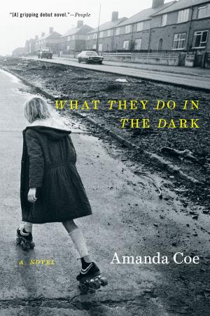 Cover of the book What They Do in the Dark: A Novel by Anthony M. Townsend