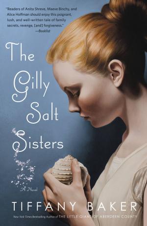 bigCover of the book The Gilly Salt Sisters by 