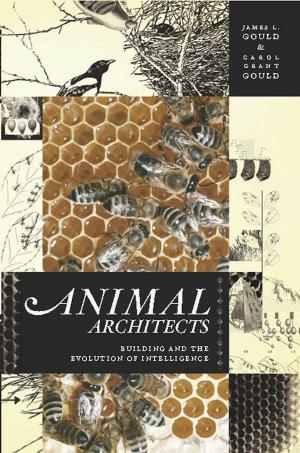 Book cover of Animal Architects