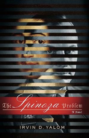 bigCover of the book The Spinoza Problem by 