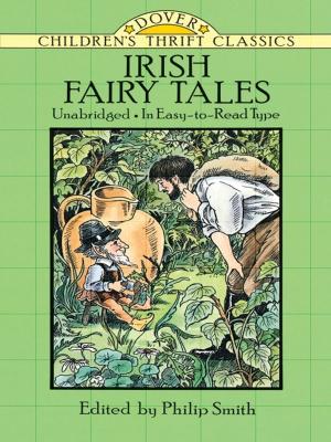 Cover of the book Irish Fairy Tales by Theodore V. Galambos