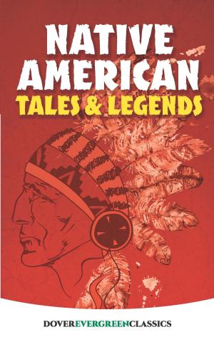 Cover of the book Native American Tales and Legends by David J. Peery