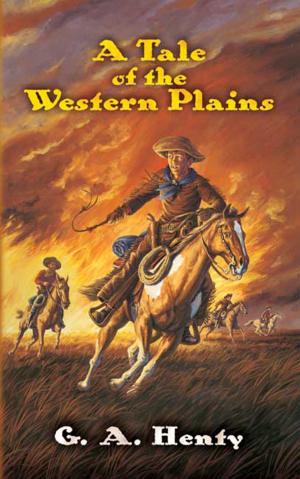 Cover of the book A Tale of the Western Plains by Jerome E. Leavitt